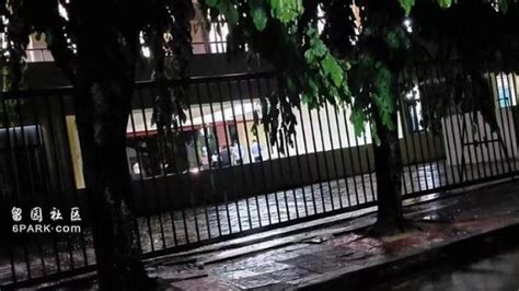 海南澄迈中学跳楼事件的学生