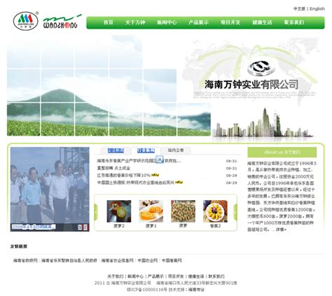 海南网站推广服务公司