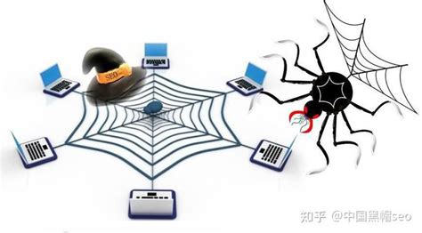 海外蜘蛛池平台