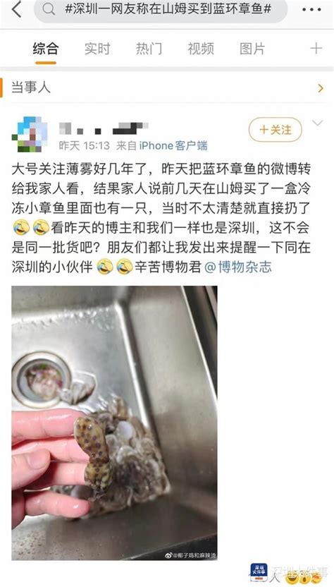深圳一网友称在山姆买到蓝环章鱼