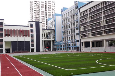 深圳公立小学排名前十及位置图