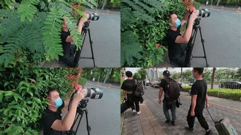 深圳摄影师一天收入
