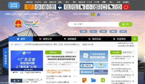 深圳政府网站平台建设方案