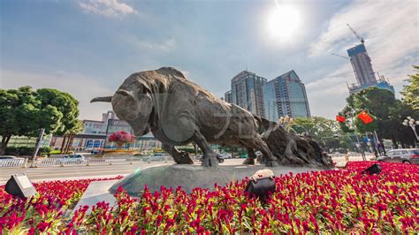 深圳的牛雕塑图片