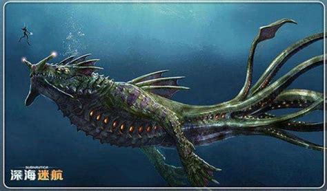 深海未知神秘巨兽