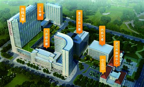 湖北省武汉第一医院