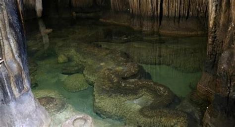 湖南山洞发现13米的龙图片