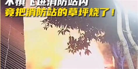 湖南消防员被偷家视频