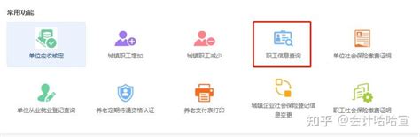 湖南社保增员在网上怎样填写信息