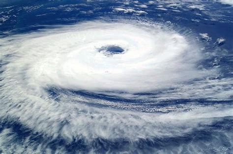 热带气旋包括什么