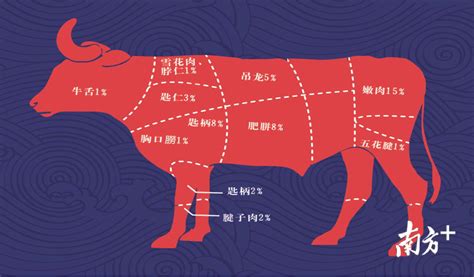 牛肉哪个位置适合涮火锅