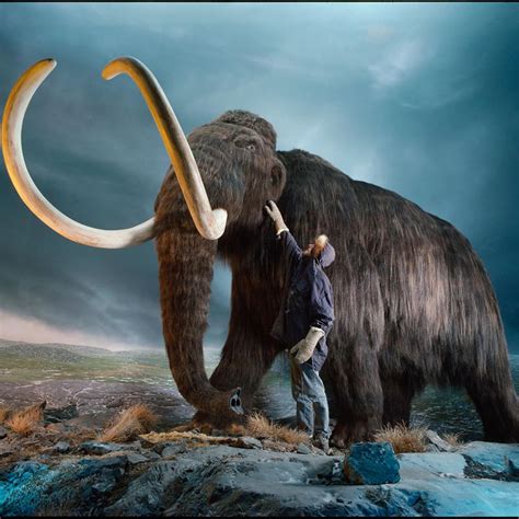 猛犸象的牙和它的身体谁最长