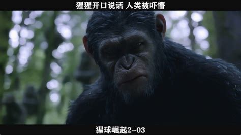 猩球崛起猩猩会说话吗