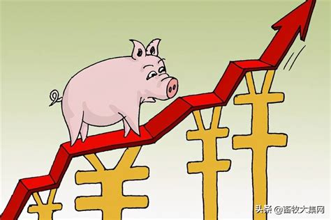 猪价大体稳定 局部小幅涨跌的原因
