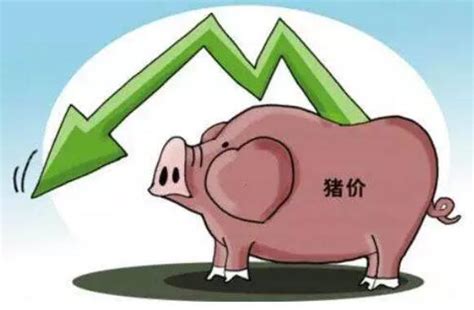 猪价最近什么形势会涨停