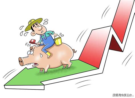 猪价涨跌的规律是什么