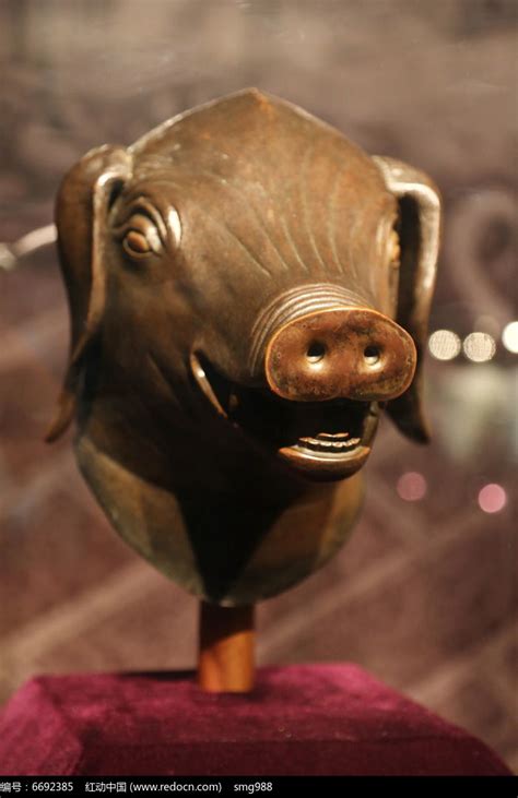 猪首铜像购买价格