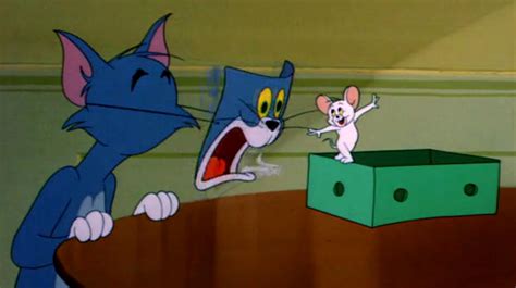 猫和老鼠搞笑视频合集