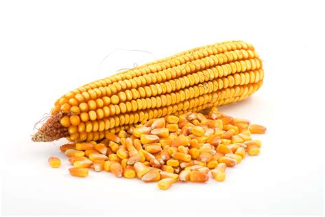 玉米有什么药用价值 玉米功效和作用
