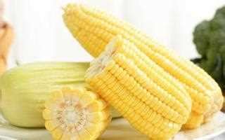 玉米怎么吃减肥最快瘦全身