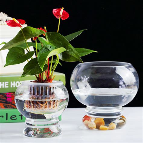 玻璃杯种花盆图片