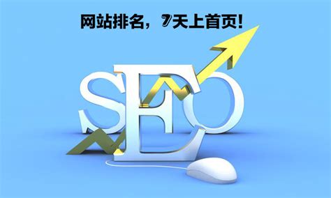 珠海正规seo推广网络公司
