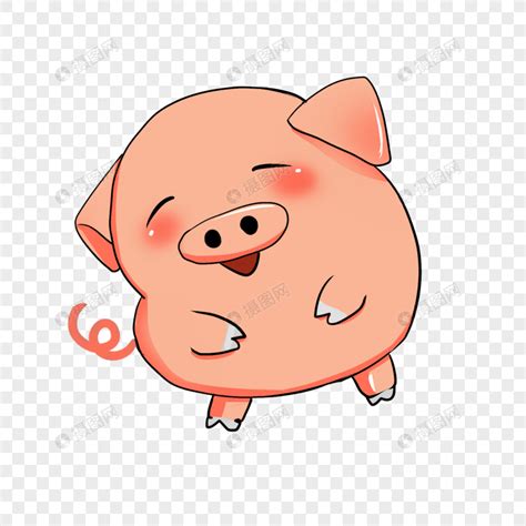 生肖猪可以取什么名字