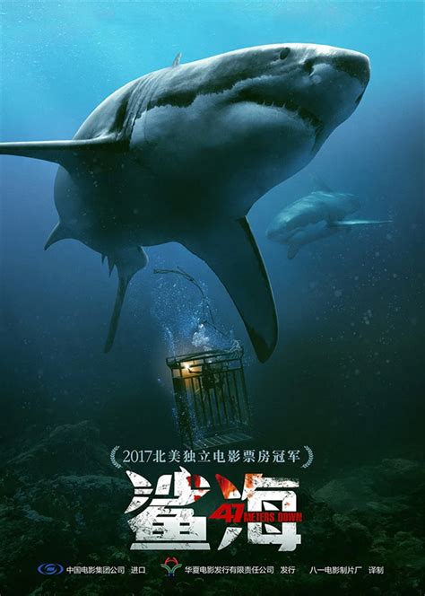 电影鲨海