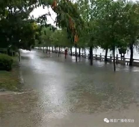 睢县下雨情况