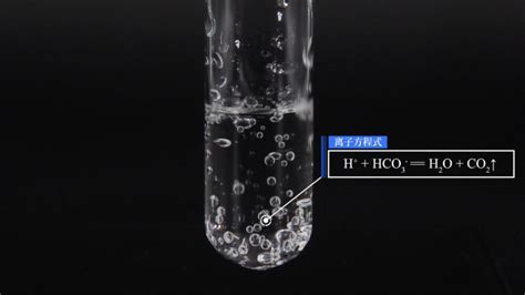 硫化氢能跟碳酸钠反应吗
