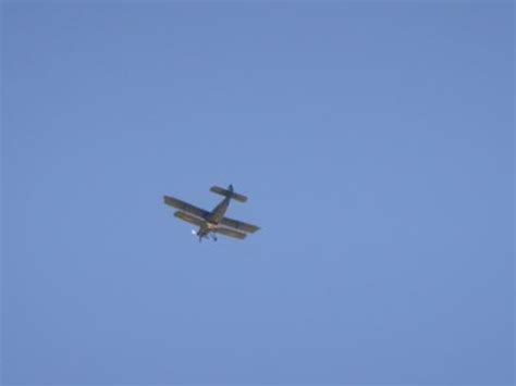 神秘小飞机真实视频