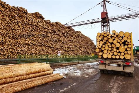 禹州木材批发市场