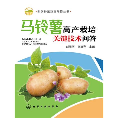秋马铃薯高产栽培管理技术