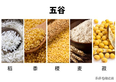 稷米与黍米区别