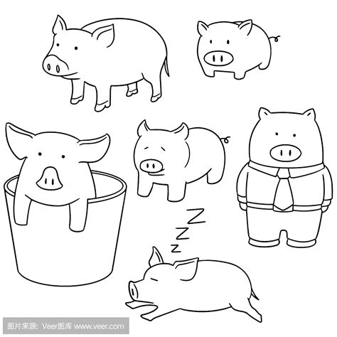 简易的猪怎么画