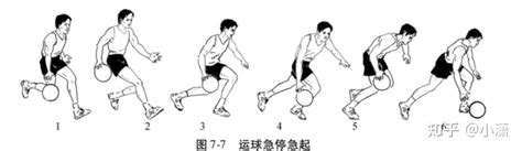 篮球基本动作方法