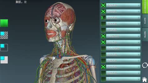 系统解剖学app