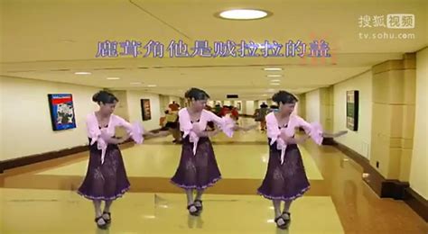 紫云广场舞