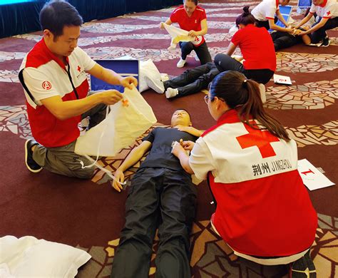 红十字急救知识培训视频