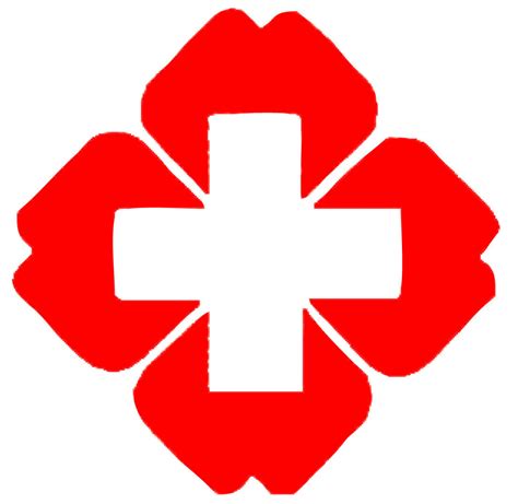 红十字是正规医院吗
