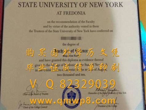 纽约州立大学毕业证样本