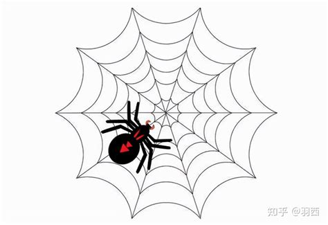 网站优化吸引蜘蛛