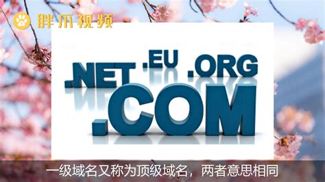 网站域名cn和com区别