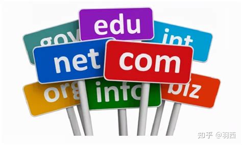 网站域名com和net哪个好