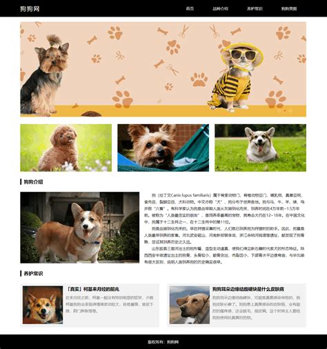 网站设计模板狗狗