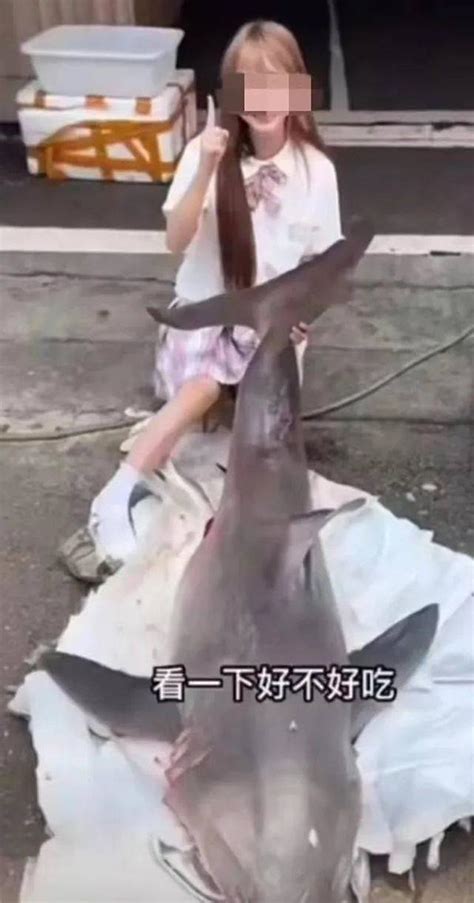 网红博主烹食噬人鲨被抓了吗