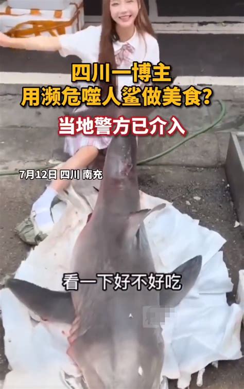 网红烹食大白鲨被判了几年