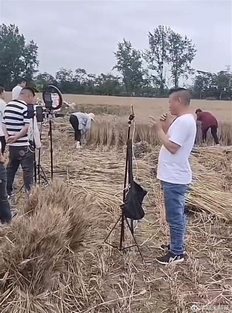网红直播帮农民割麦子