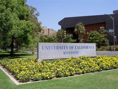 美国加州大学各个分校的排名