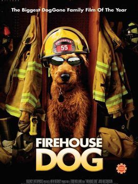 美国电影消防犬哪里能看